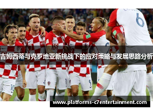 吉姆西蒂与克罗地亚新挑战下的应对策略与发展思路分析