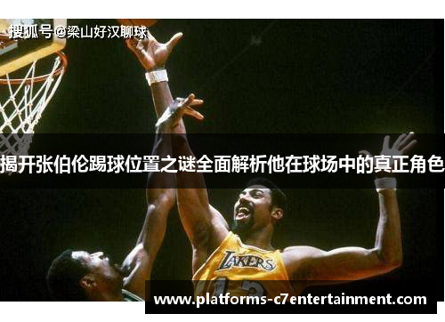 揭开张伯伦踢球位置之谜全面解析他在球场中的真正角色 揭开张伯伦踢球位置之谜全面解析他在球场中的真正角色