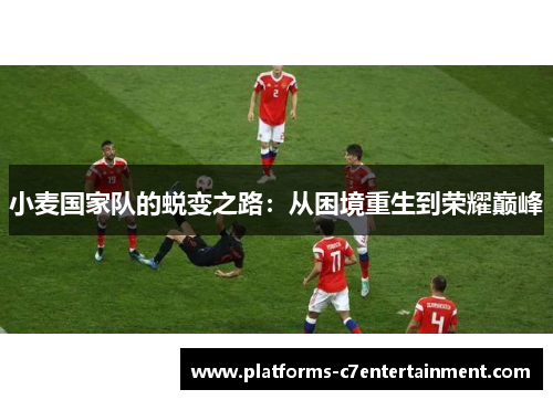 小麦国家队的蜕变之路:从困境重生到荣耀巅峰 小麦国家队的蜕变之路:从困境重生到荣耀巅峰